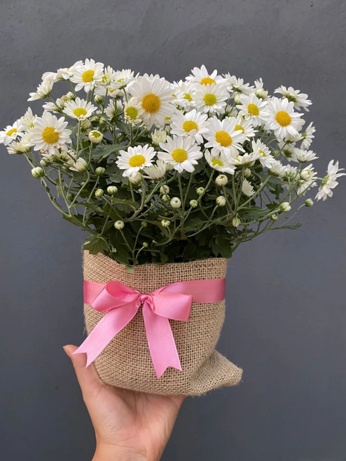 arranjo para mesa de convidados margaridinhas com laço rosa