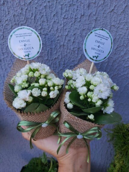 Lembrancinha com Flores – Kalanchoe