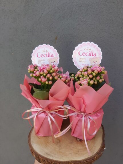 Lembrancinha com Flores – Kalanchoe