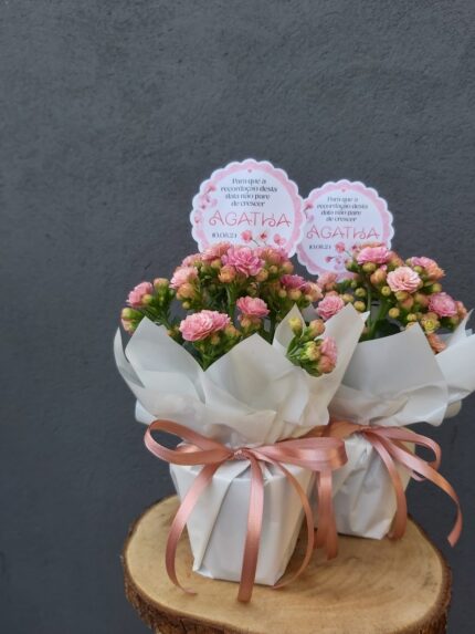 Lembrancinha com Flores – Kalanchoe