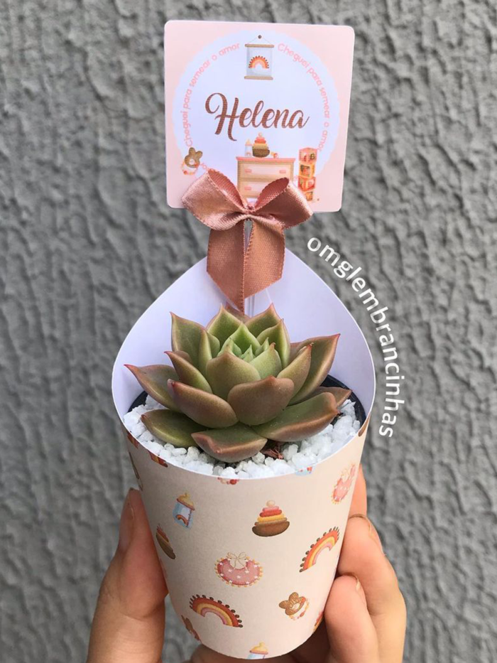 Lembrancinha com suculentas menina 003