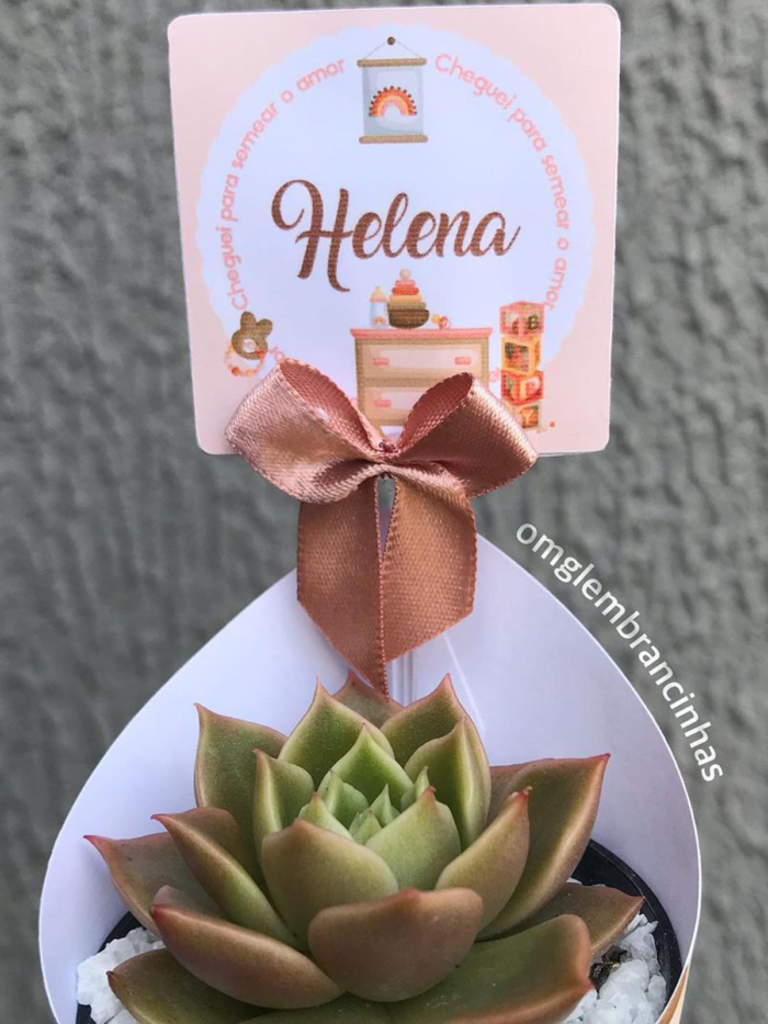 Lembrancinha com suculentas menina 03