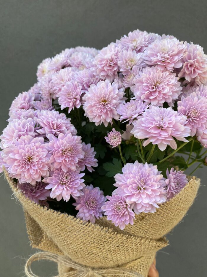 WhatsApp Image 2025-01-04 at 06.04.00 (1)