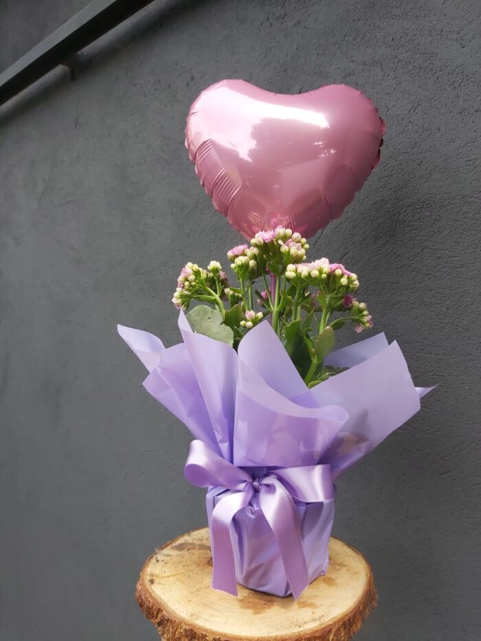 WhatsApp Image 2025-01-24 at 20.52.25