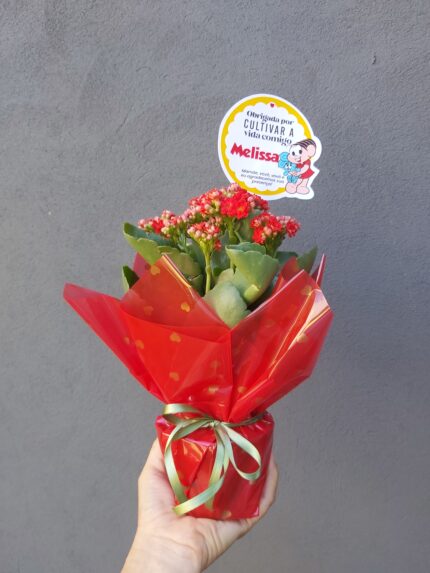 Lembrancinha com Flores – Kalanchoe