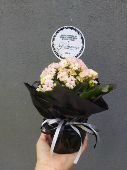 Lembrancinha com Flores – Kalanchoe