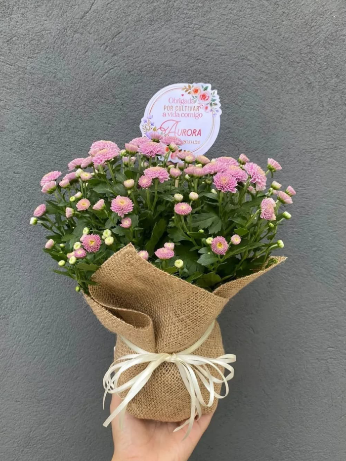 arranjo crisantemo rosa